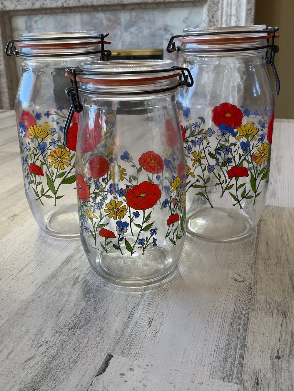 Vintage Floral Canister Jars with Red Poppy Design R Carman Arc France Set of 3